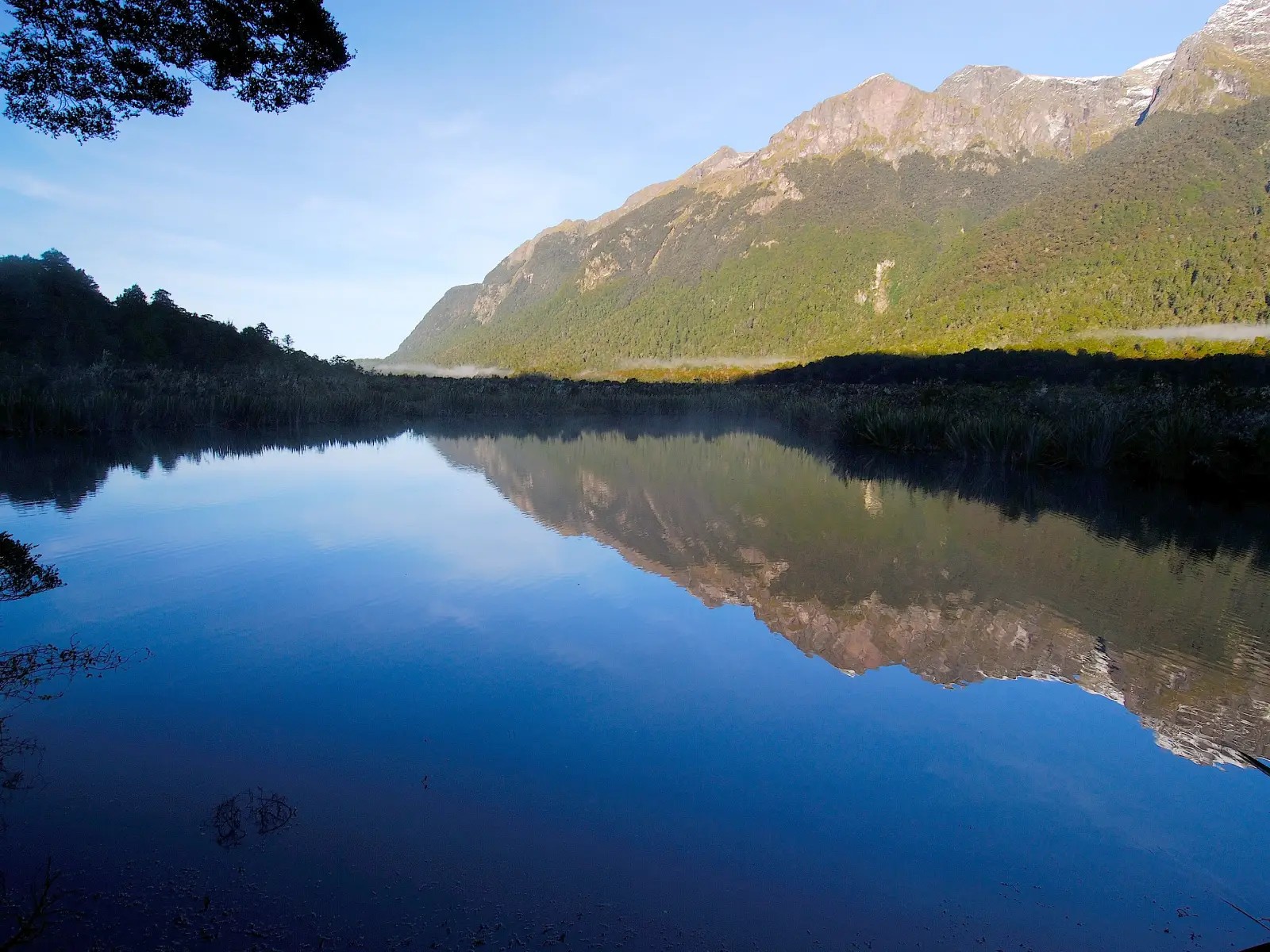 Snow-capped mountains reflected clearly in a calm lake surrounded by native forest and wetland vegetation under a clear blue sky