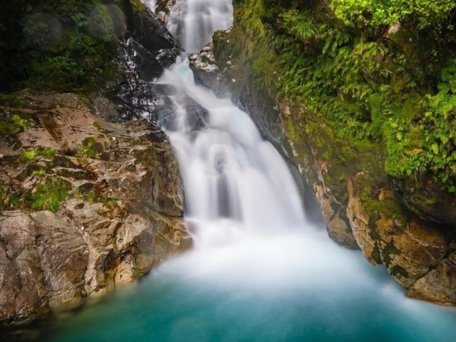 A waterfall cascading through moss-covered rock into a clear turquoise pool, surrounded by dense native forest at Monkey Creek in Fiordland