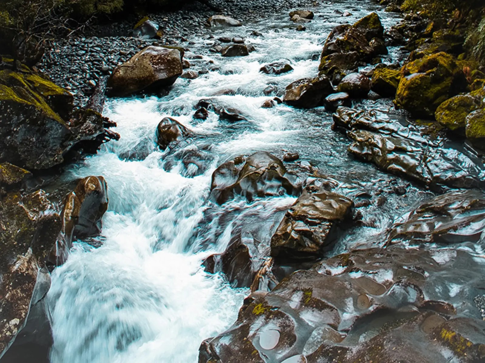 Fast-flowing river rushing through smooth, sculpted rock formations at The Chasm in Milford Sound, surrounded by dense native forest