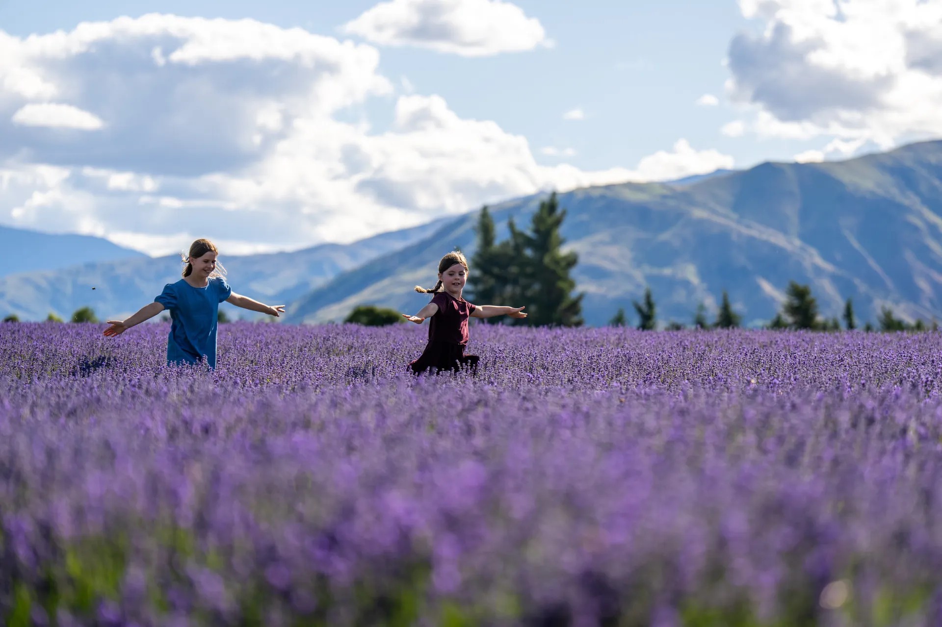 Two girls frolicking in a large field of lavender flowers.