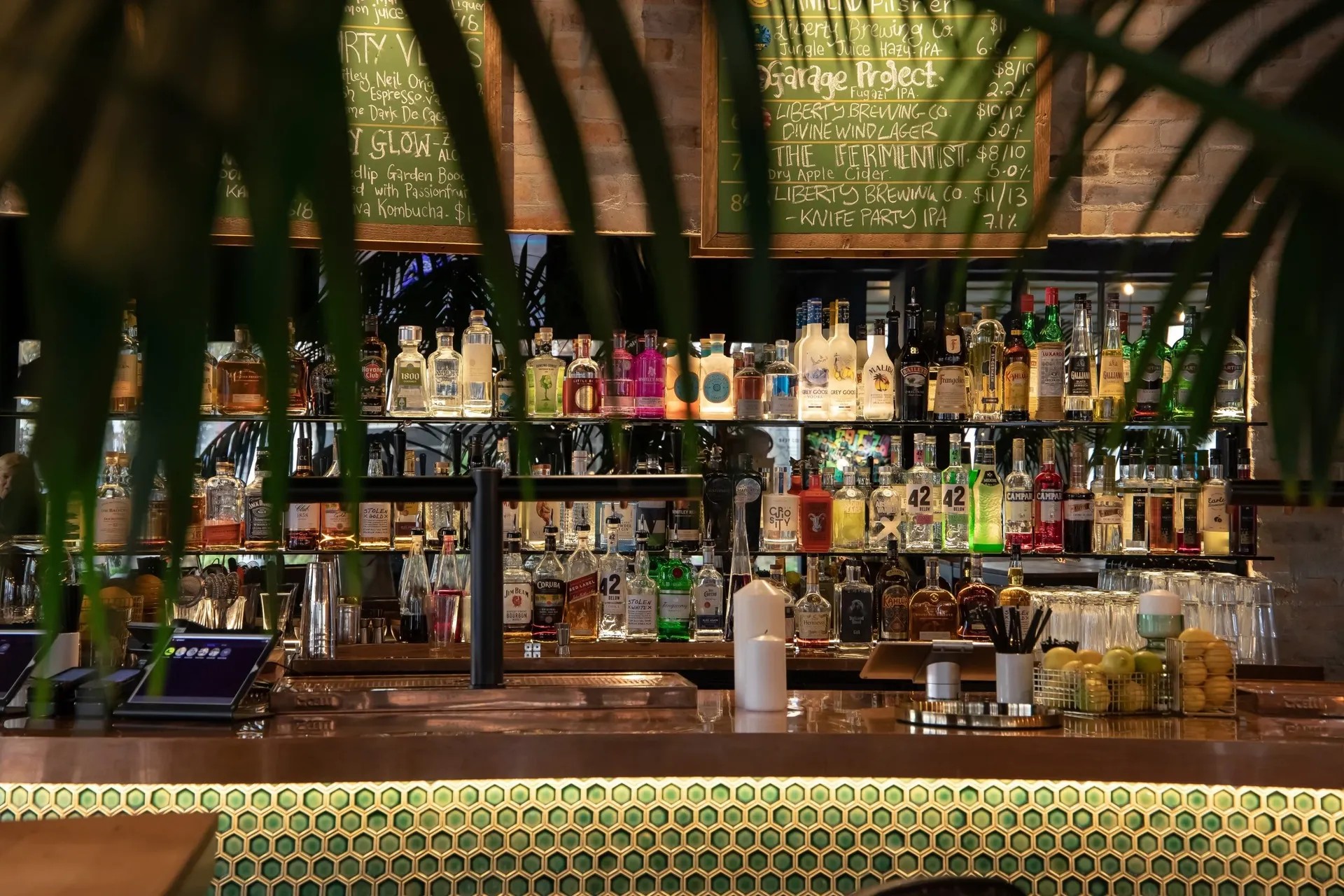 Neo-tropical bar with rows of alcohol on the wall.