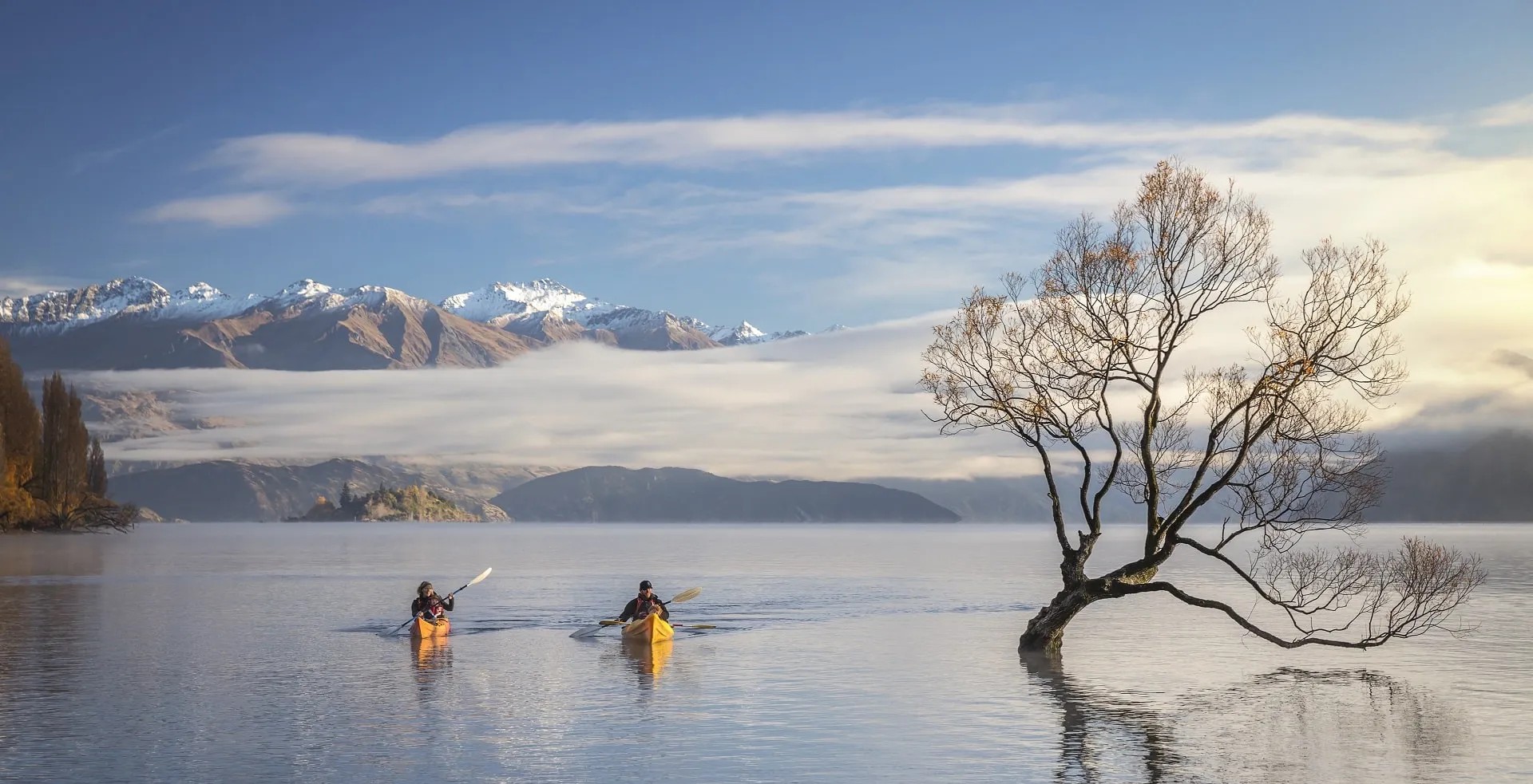 Two people kayaking on Lake Wanaka next to That Wanaka Tree.