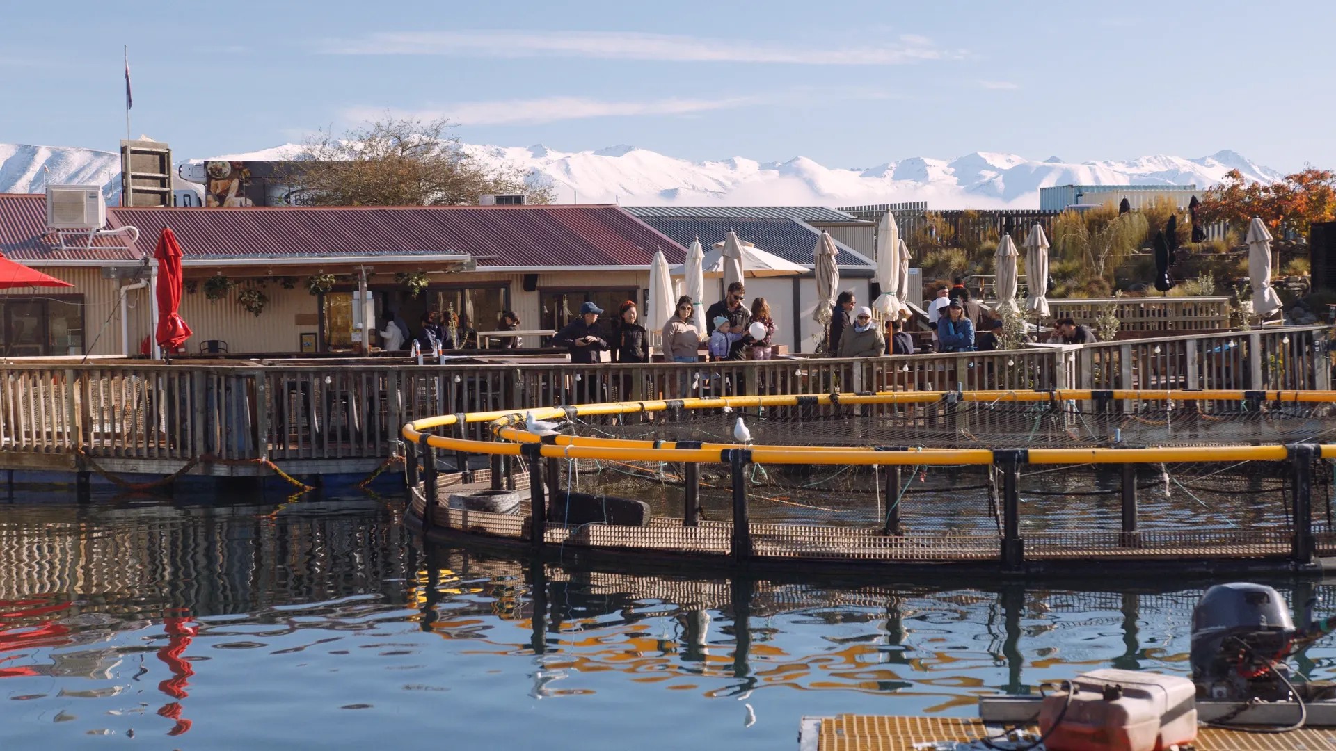 People looking at a salmon farm from a floating restaurant.