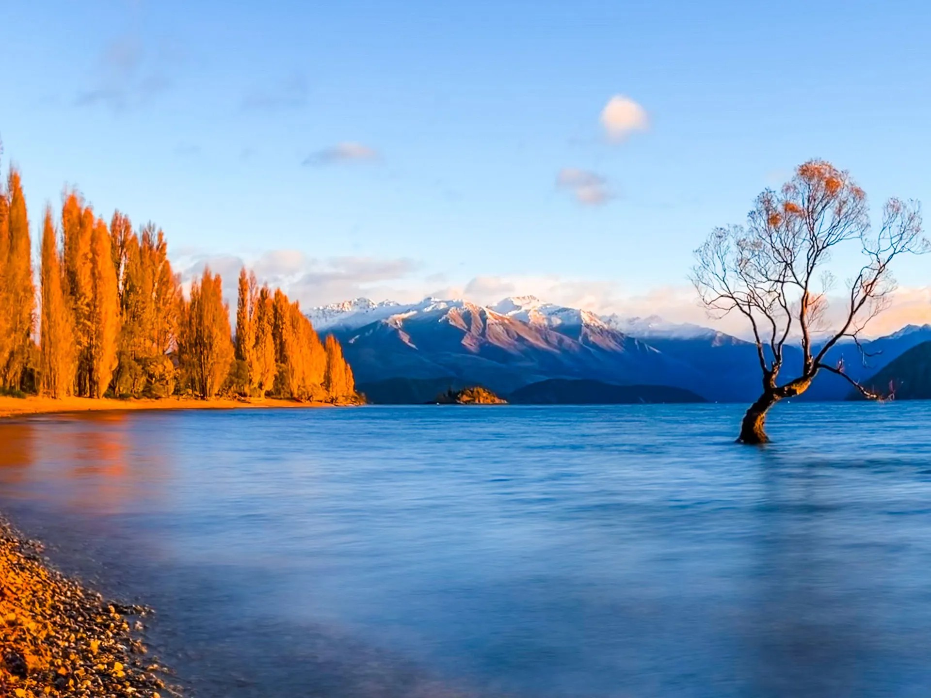 Lake Wanaka at sunset, with view of mountains and That Wanaka Tree.