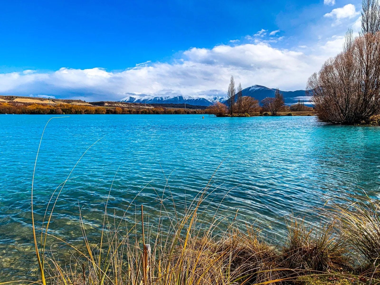 Turquoise lake surrounded by flax with snowy mountains in the distance.