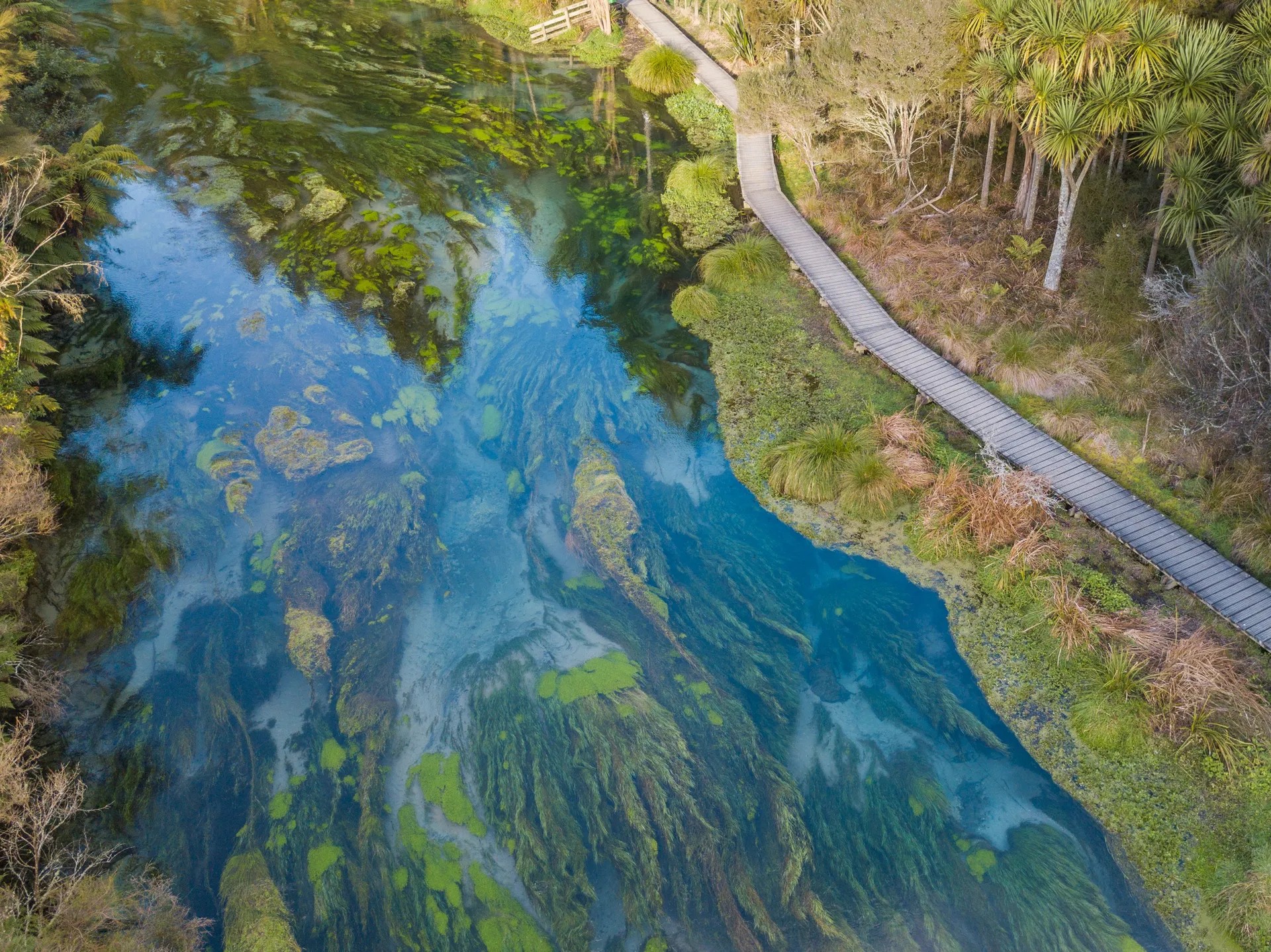 Overhead view of a walkway next to a clear blue stream with sewaweed and moss visible under the water.