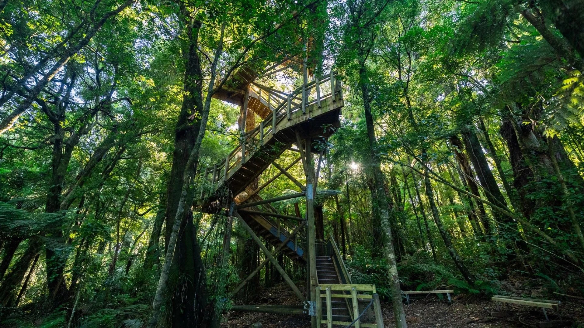 Wooden spiral staircase in a forest.
