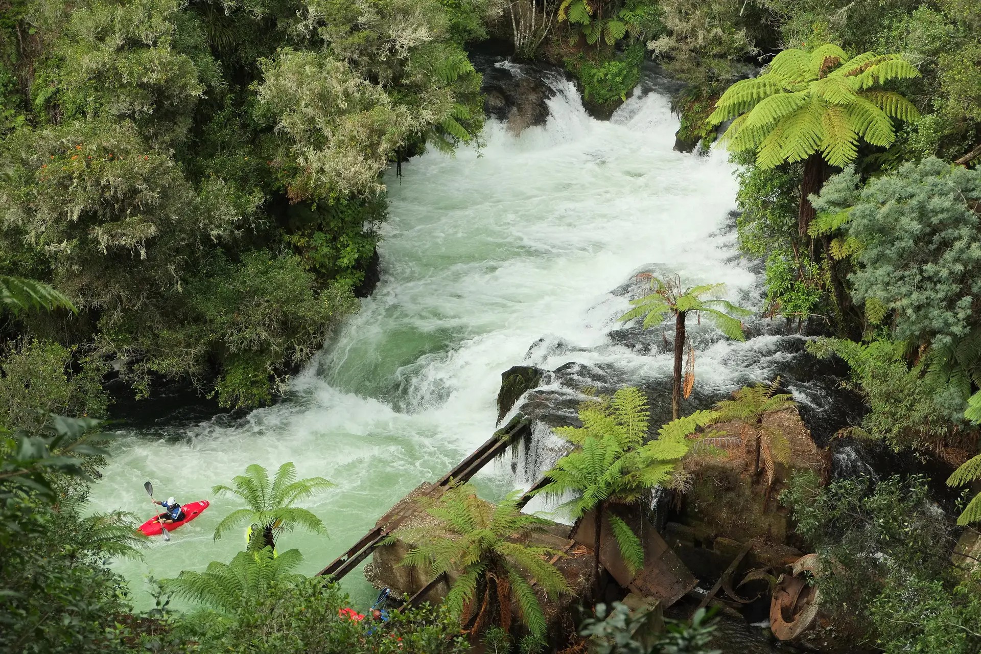 Kayakers moving through rapid waters in a forest at Okere Falls.