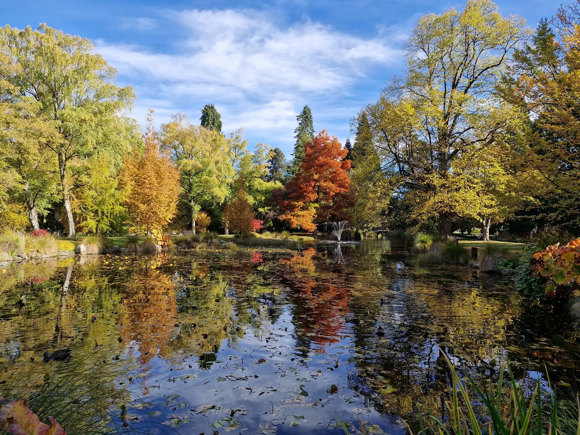 Lake at Queenstown Gardens in autumn