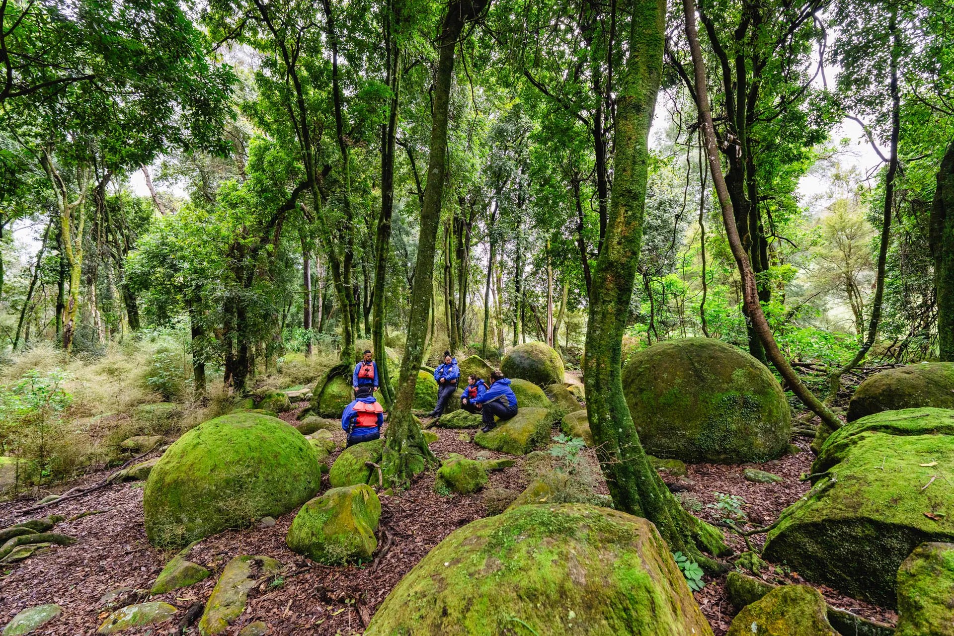 Forest filled with large, mossy green boulders. A group of people are sitting on the rocks.