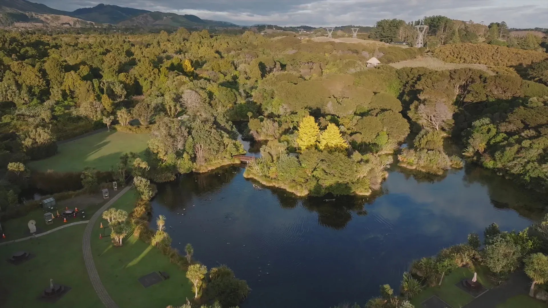Large forest with a lake.