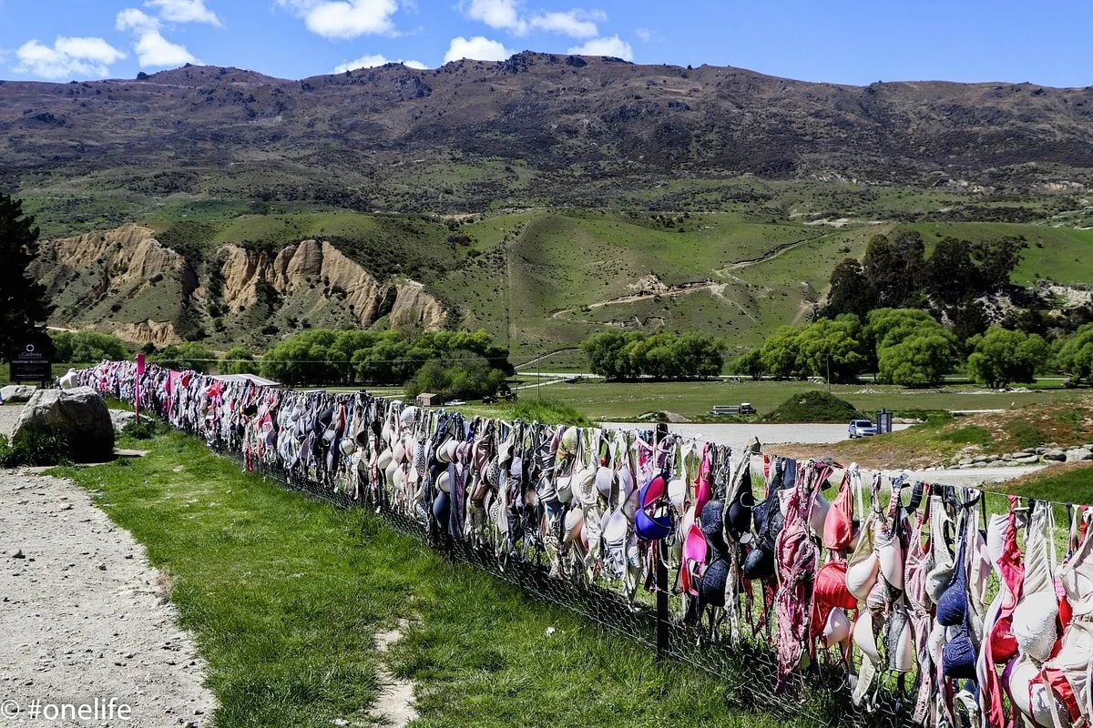 Wire fence covered with bras in an outdoor mountain setting.
