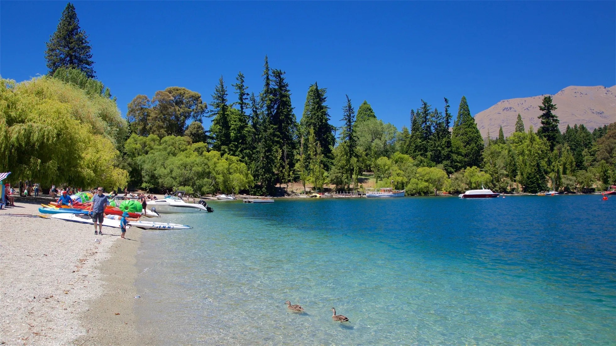Lake with sandy beach; trees and mountain in background.