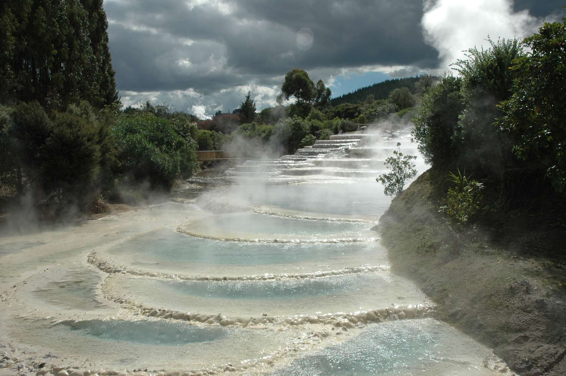 Large, tiered pale blue-green silica terraces in between bushes; steam is rising up from them.