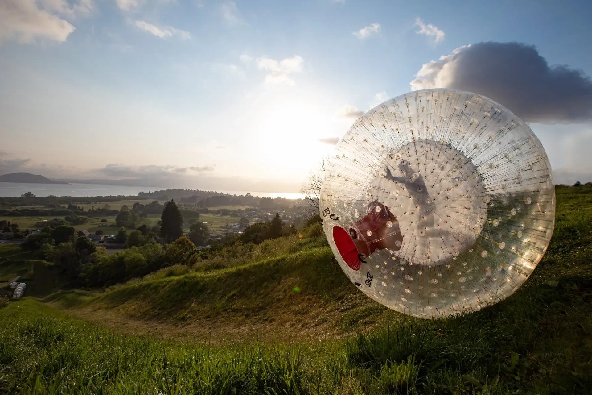 A person inside a giant plastic ball, rolling down an hill