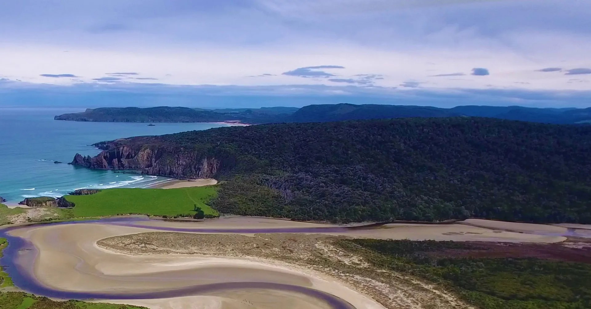 A large forest by the sea, next to a river that runs along a sandy surface