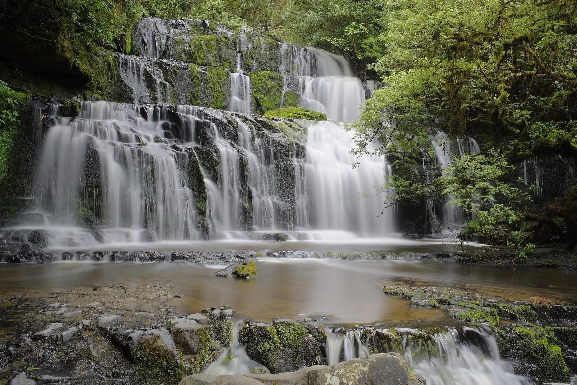 A cascading waterfall in a forest